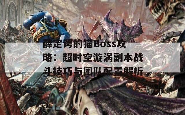 薛定谔的猫Boss攻略：超时空漩涡副本战斗技巧与团队配置解析