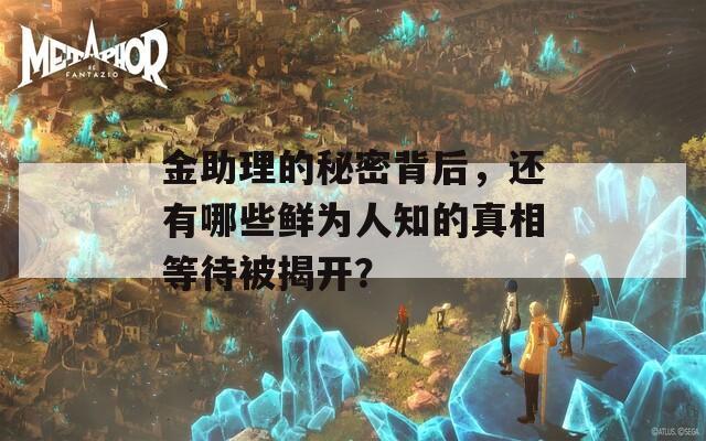 金助理的秘密背后，还有哪些鲜为人知的真相等待被揭开？