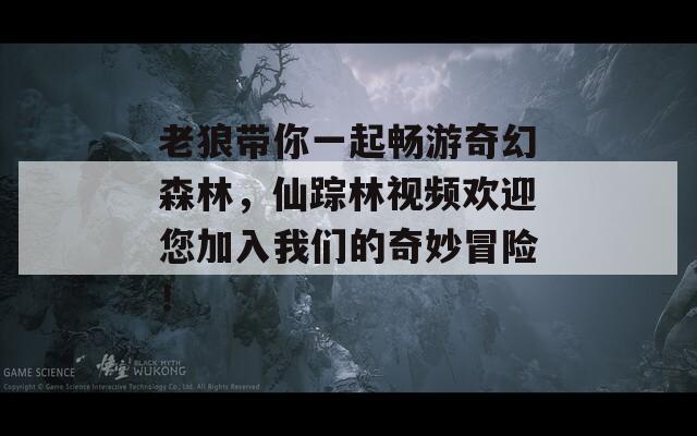 老狼带你一起畅游奇幻森林，仙踪林视频欢迎您加入我们的奇妙冒险！