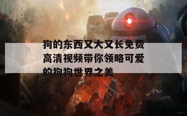 狗的东西又大又长免费高清视频带你领略可爱的狗狗世界之美