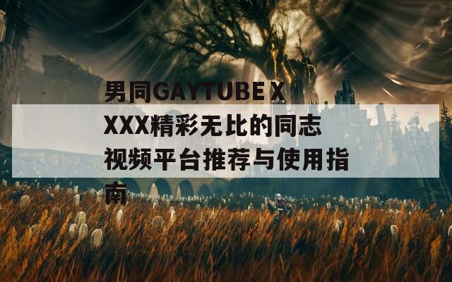 男同GAYTUBEⅩXXX精彩无比的同志视频平台推荐与使用指南