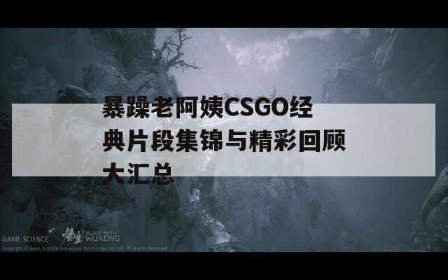 暴躁老阿姨CSGO经典片段集锦与精彩回顾大汇总