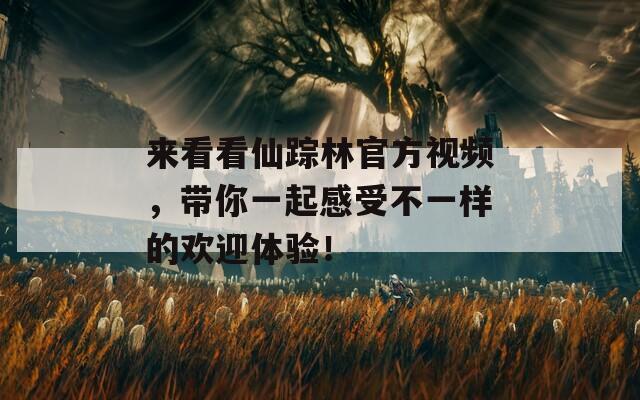 来看看仙踪林官方视频，带你一起感受不一样的欢迎体验！