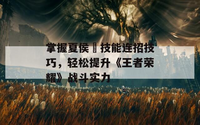 掌握夏侯惇技能连招技巧，轻松提升《王者荣耀》战斗实力