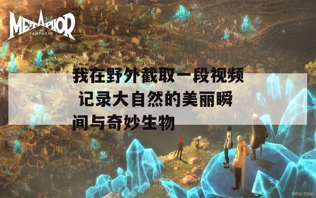 我在野外截取一段视频 记录大自然的美丽瞬间与奇妙生物