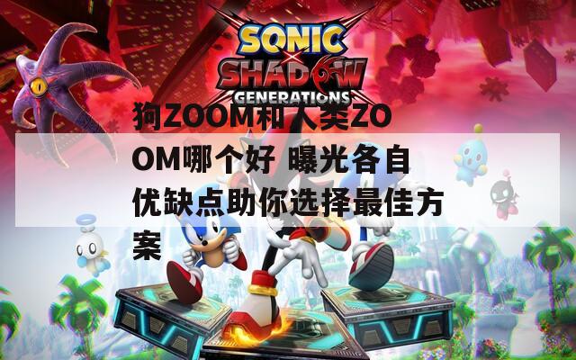 狗ZOOM和人类ZOOM哪个好 曝光各自优缺点助你选择最佳方案