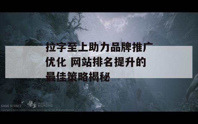 拉字至上助力品牌推广优化 网站排名提升的最佳策略揭秘