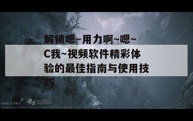 解锁嗯～用力啊～嗯～C我～视频软件精彩体验的最佳指南与使用技巧