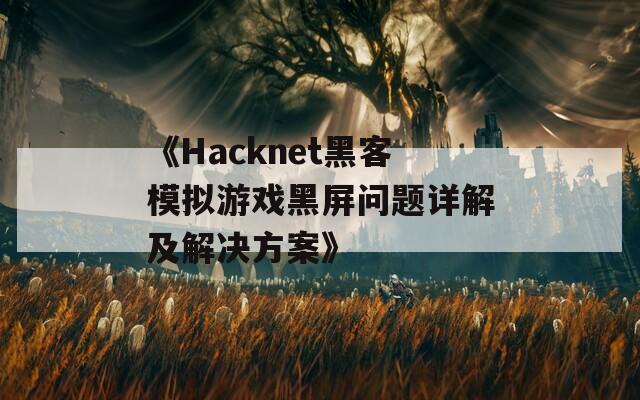 《Hacknet黑客模拟游戏黑屏问题详解及解决方案》