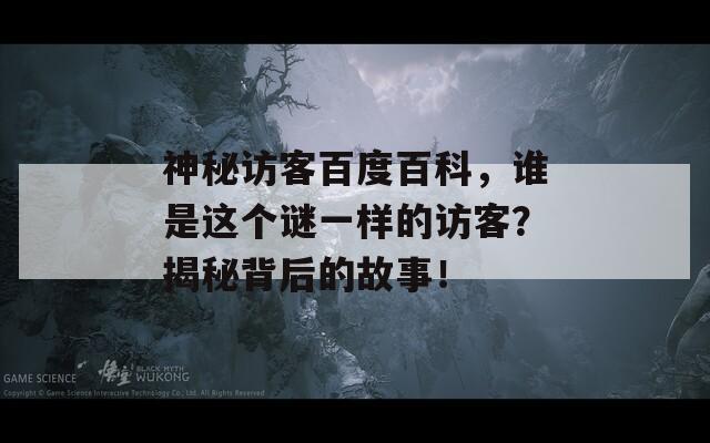 神秘访客百度百科，谁是这个谜一样的访客？揭秘背后的故事！