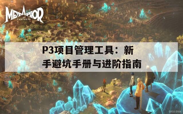 P3项目管理工具：新手避坑手册与进阶指南