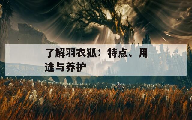 了解羽衣狐：特点、用途与养护