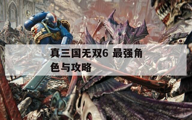 真三国无双6 最强角色与攻略