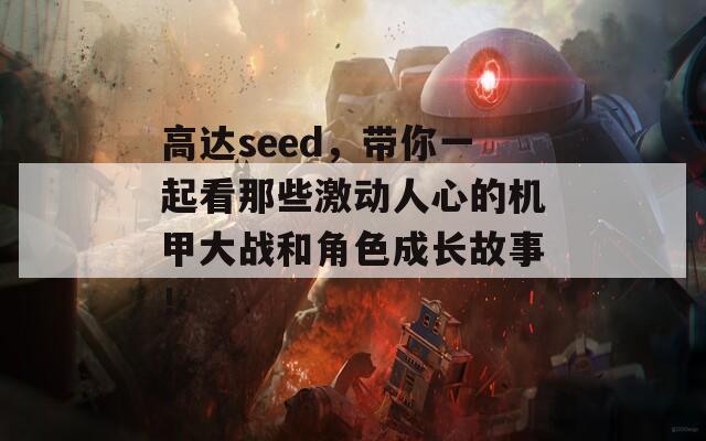 高达seed，带你一起看那些激动人心的机甲大战和角色成长故事！