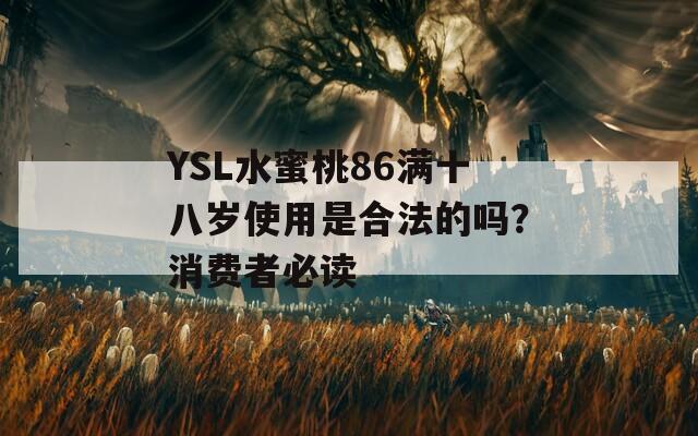 YSL水蜜桃86满十八岁使用是合法的吗？消费者必读