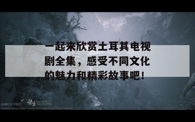 一起来欣赏土耳其电视剧全集，感受不同文化的魅力和精彩故事吧！