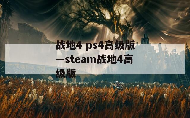 战地4 ps4高级版—steam战地4高级版