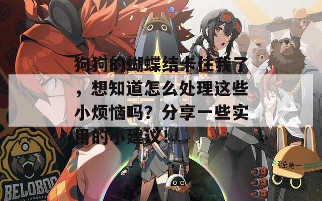 狗狗的蝴蝶结卡住我了，想知道怎么处理这些小烦恼吗？分享一些实用的小建议！
