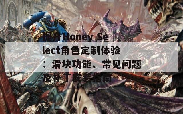 提升Honey Select角色定制体验：滑块功能、常见问题及补丁安装指南