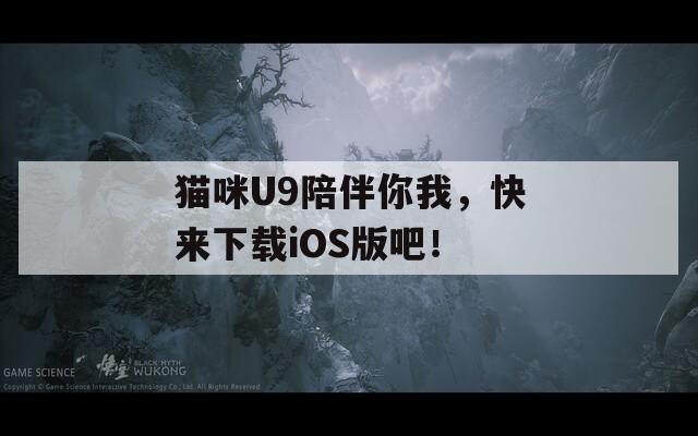 猫咪U9陪伴你我，快来下载iOS版吧！