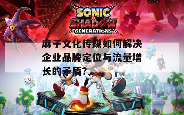麻子文化传媒如何解决企业品牌定位与流量增长的矛盾？