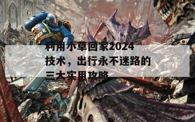 利用小草回家2024技术，出行永不迷路的三大实用攻略