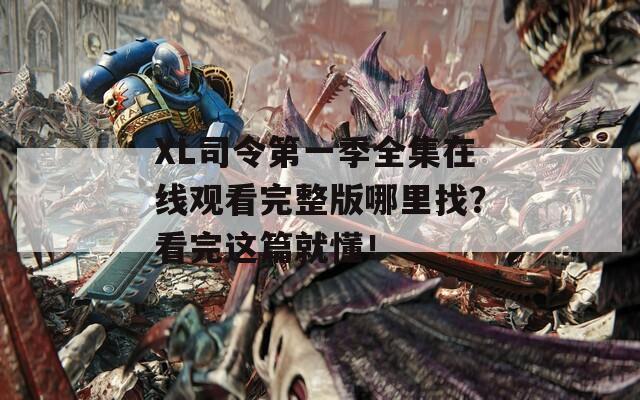 XL司令第一季全集在线观看完整版哪里找？看完这篇就懂！