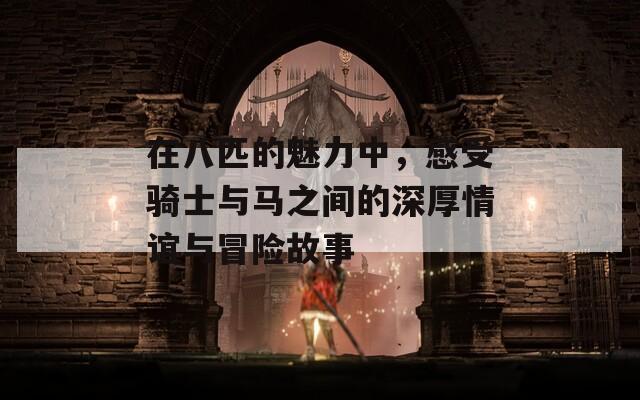 在八匹的魅力中，感受骑士与马之间的深厚情谊与冒险故事