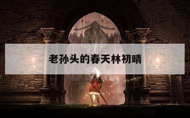 老孙头的春天林初晴