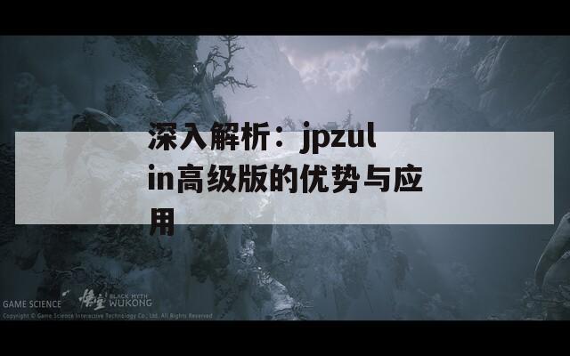 深入解析：jpzulin高级版的优势与应用