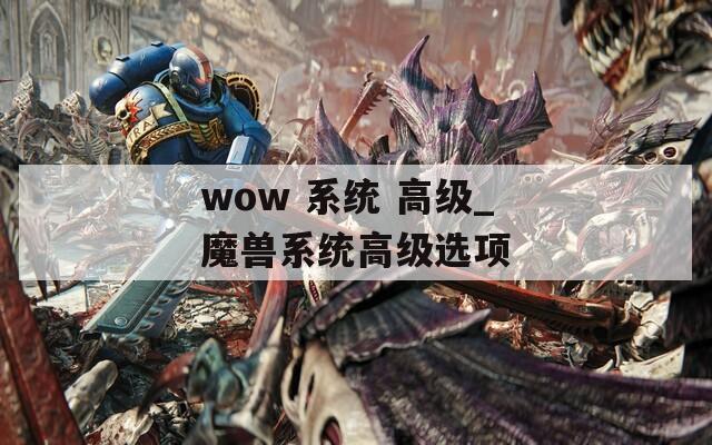 wow 系统 高级_魔兽系统高级选项