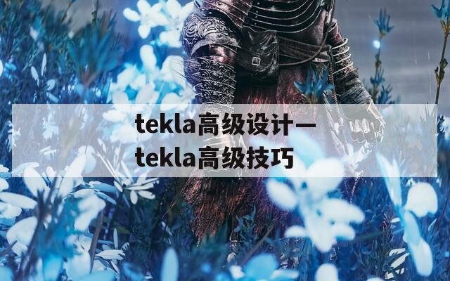 tekla高级设计—tekla高级技巧