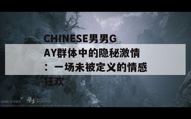 CHINESE男男GAY群体中的隐秘激情：一场未被定义的情感狂欢