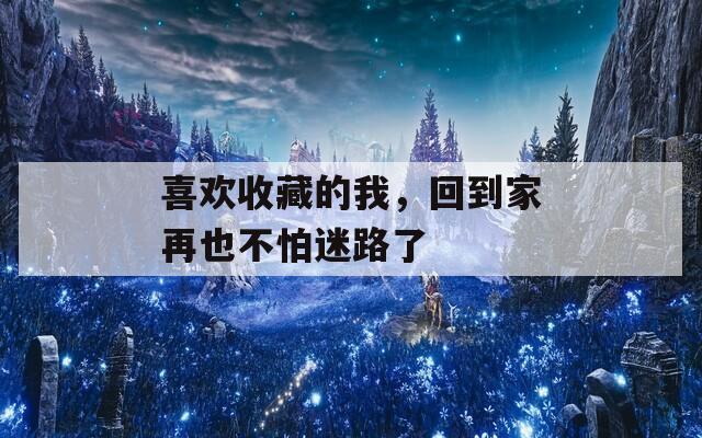 喜欢收藏的我，回到家再也不怕迷路了