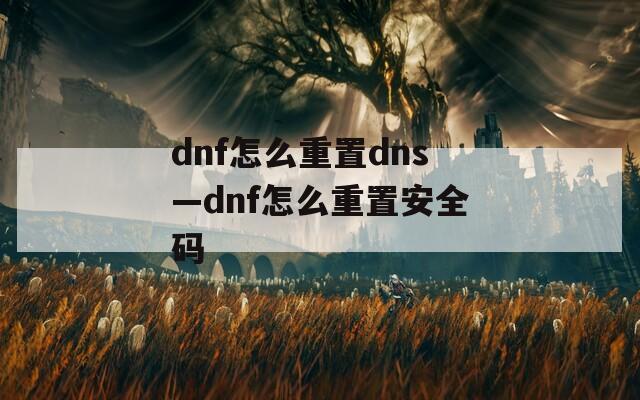 dnf怎么重置dns—dnf怎么重置安全码
