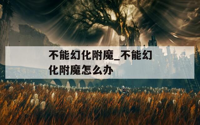 不能幻化附魔_不能幻化附魔怎么办